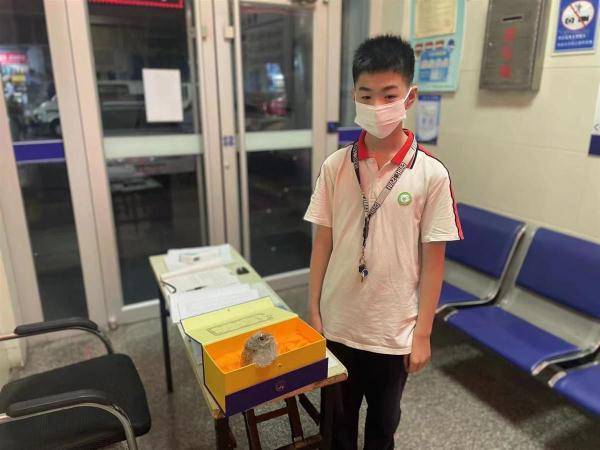 少年，你真棒！警察蜀黍为你送上凯发k8官网下载客户端的荣誉证书(图1)