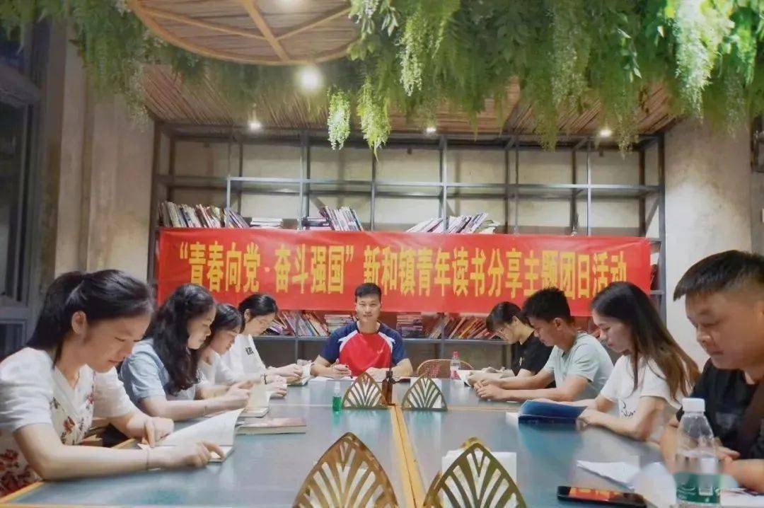 喜讯！新和镇团委荣获“广西五四红旗团委”称号(图2)