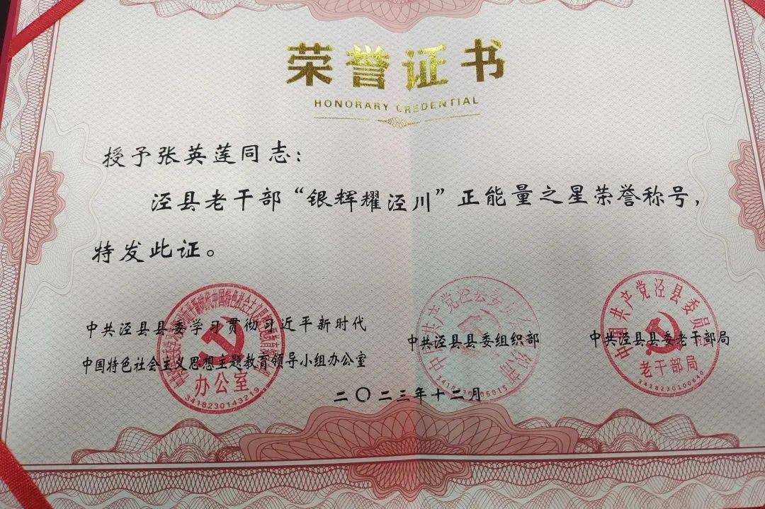 泾县法院退休老干部张英莲获“泾县老干部‘银辉耀泾川’正能量之星”称号(图1)