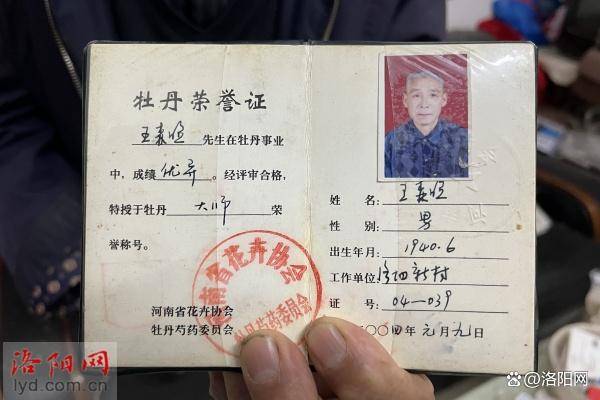 洛阳85岁老人深耕牡丹种植 曾获“牡丹大师”荣誉称号(图2)