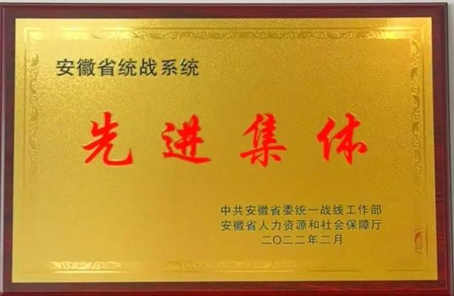 全市唯一！庐阳又获省级荣誉