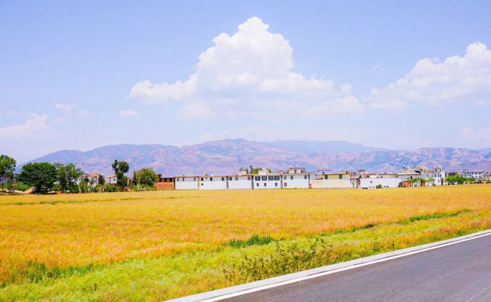 大赛通告！川恒之夏诗歌、美术、书法、音乐大赛今日开启，赶紧来赢取现金大奖吧！