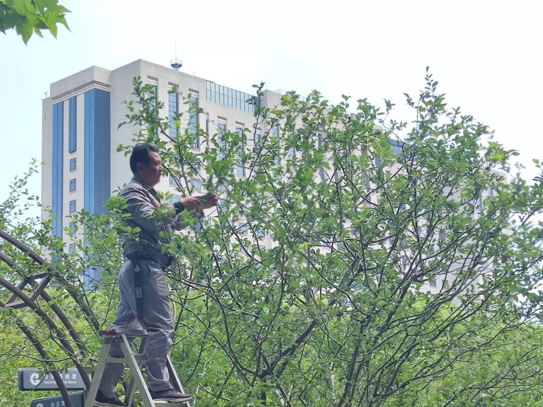 荣获市级“工匠”称号，他说:“不为繁华易匠心，不舍初心得始终！”